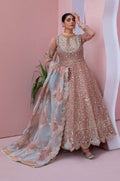 Diara Couture | Abrish Wedding Formals |  SHAHBANU - DF-13 - House Of Hania