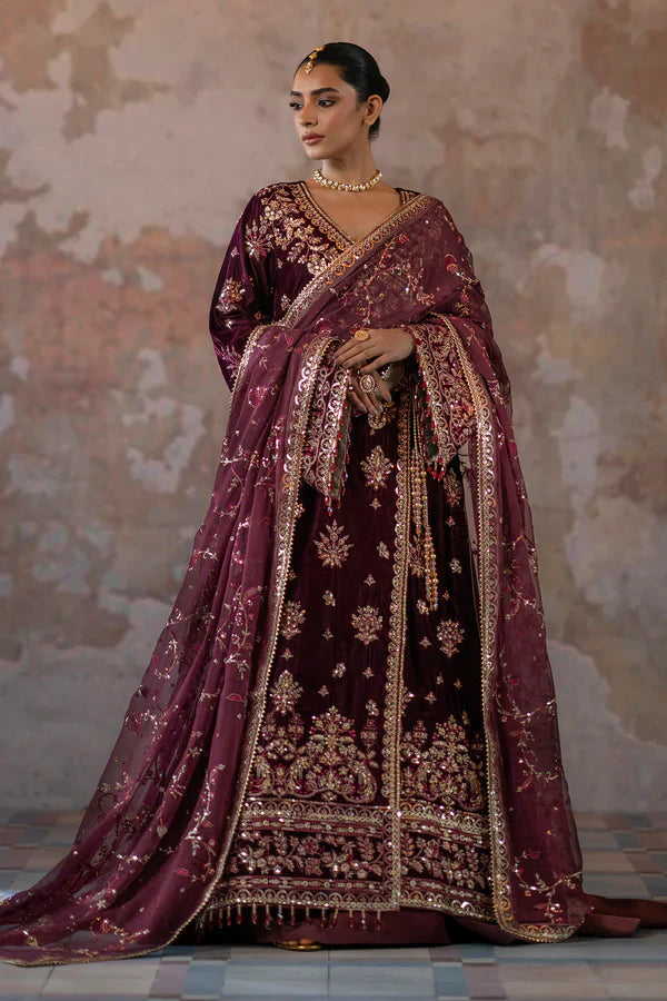 EMAAN ADEEL__Tanish - House Of Hania