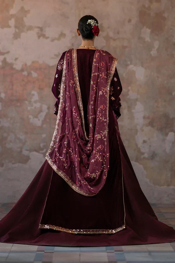 EMAAN ADEEL__Tanish - House Of Hania