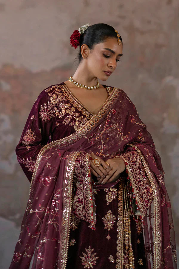 EMAAN ADEEL__Tanish - House Of Hania