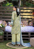 Elaf Premium | CHIKANKARI PRINTS 26 | ERC-8B MENAH - House Of Hania