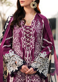 Elaf Premium | Winter Pashmina Shawl Collection | EPW-1A Infinite Love - House Of Hania