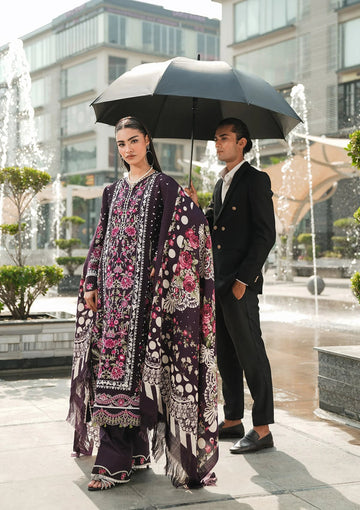 Elaf Premium | Winter Pashmina Shawl Collection | EPW-8A Warm Embrace - House Of Hania