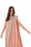 Elan | Elitarie Wedding Formals | ROSÉA (EP-21213) - House Of Hania