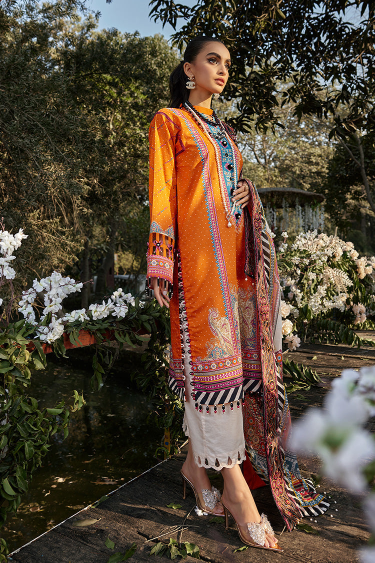 Ellena | Luxury Embroidered Collection | D13 - House Of Hania