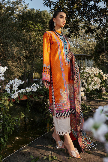 Ellena | Luxury Embroidered Collection | D13 - House Of Hania
