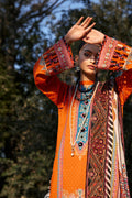 Ellena | Luxury Embroidered Collection | D13 - House Of Hania