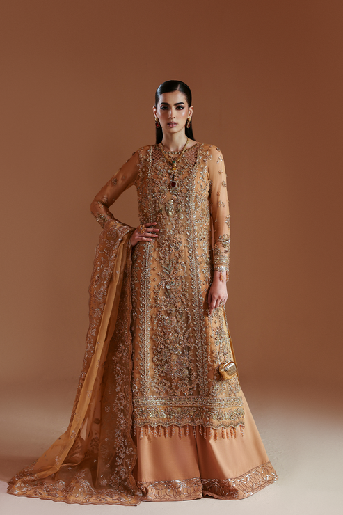 Emaan Adeel | Celestique Formals 25 | EMBER - House Of Hania