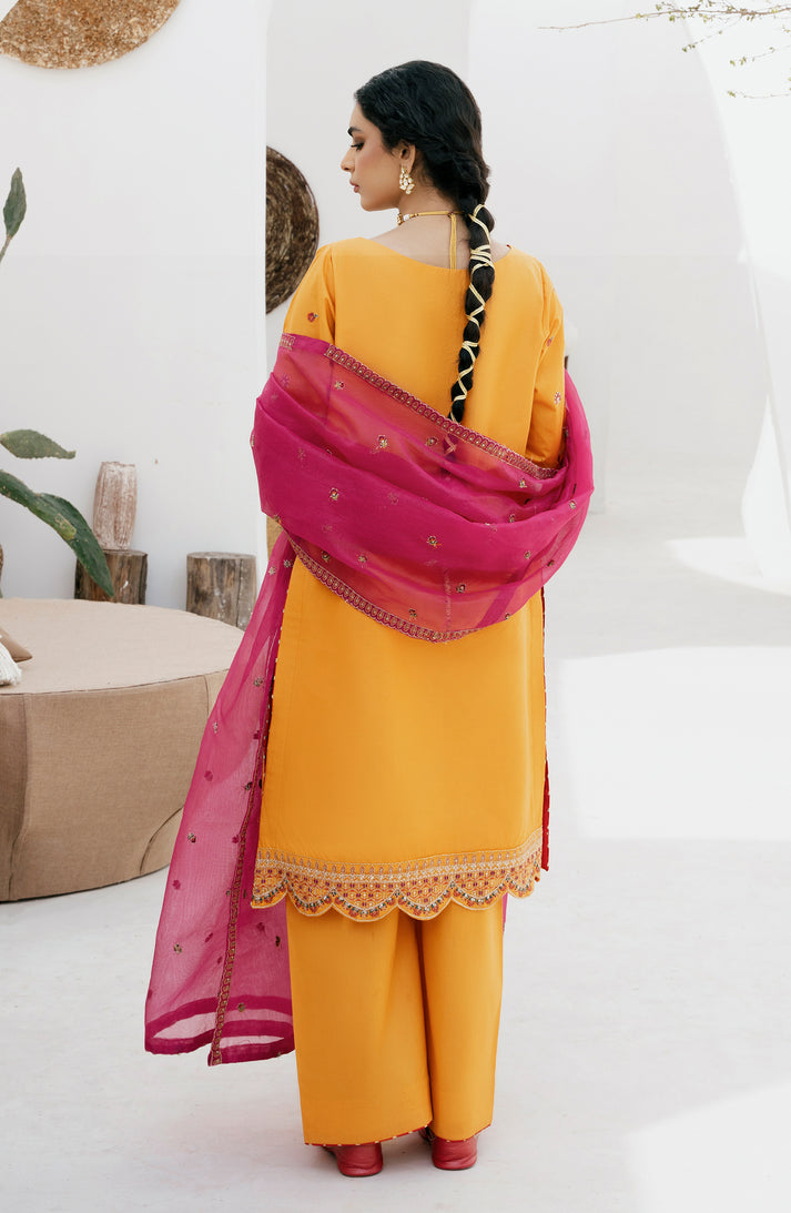 Emaan Adeel | Gul Mohr Eid Pret | WASHMA - House Of Hania