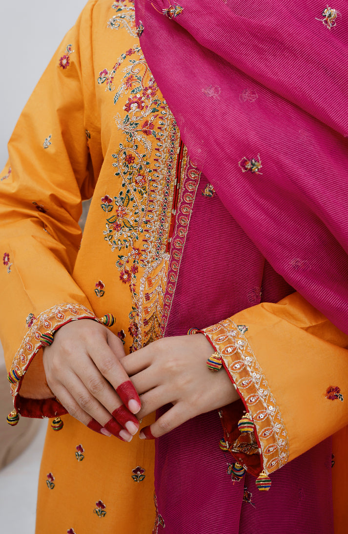 Emaan Adeel | Gul Mohr Eid Pret | WASHMA - House Of Hania