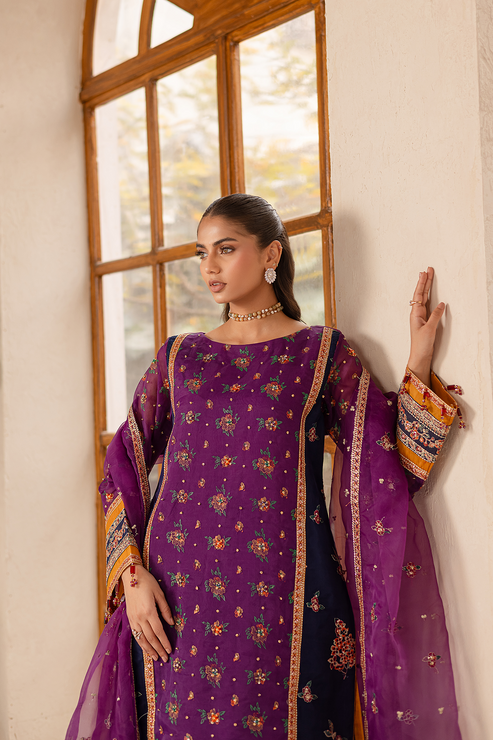 Emaan Adeel | Noore Festive Formals | NAYERA - House Of Hania