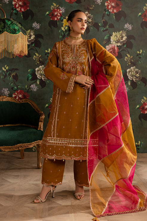 Emaan Adeel | Rangrez Collection | ARZOO - House Of Hania