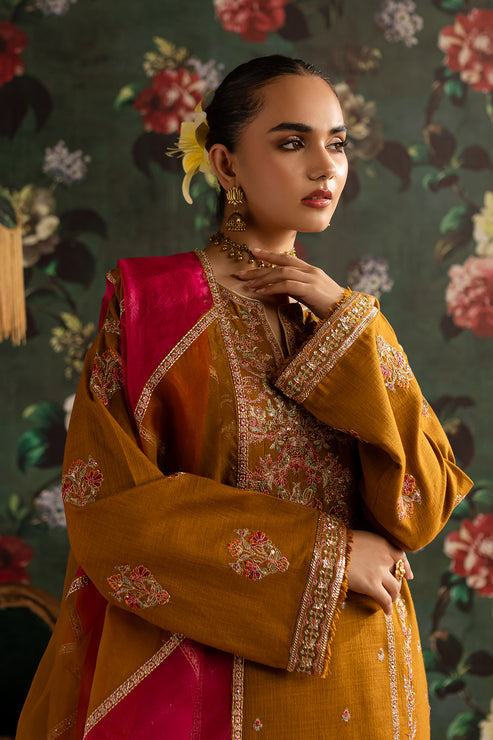 Emaan Adeel | Rangrez Collection | ARZOO - House Of Hania