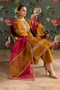 Emaan Adeel | Rangrez Collection | ARZOO - House Of Hania