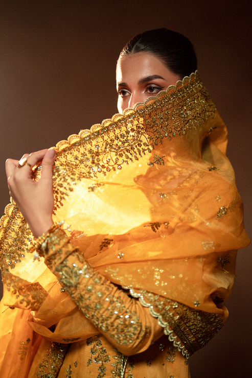 Emaan Adeel | Selene Formals | VELORIA - House Of Hania