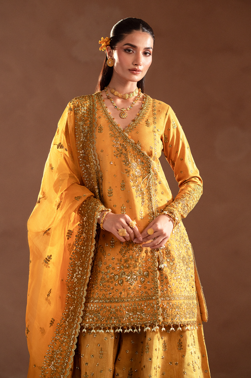 Emaan Adeel | Selene Formals | VELORIA - House Of Hania