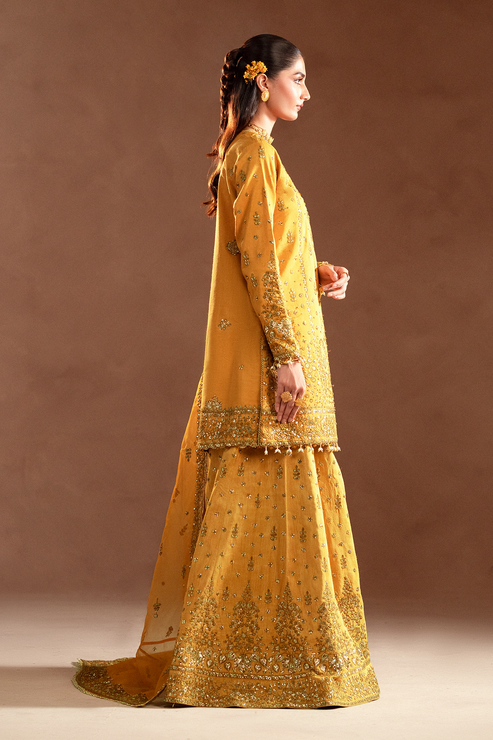 Emaan Adeel | Selene Formals | VELORIA - House Of Hania