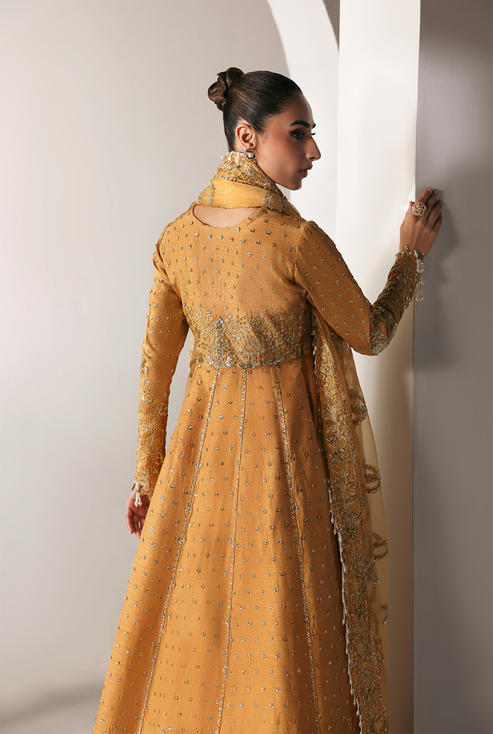 Emaan Adeel | Serein Luxe Silk | GOLDEN HOUR - House Of Hania