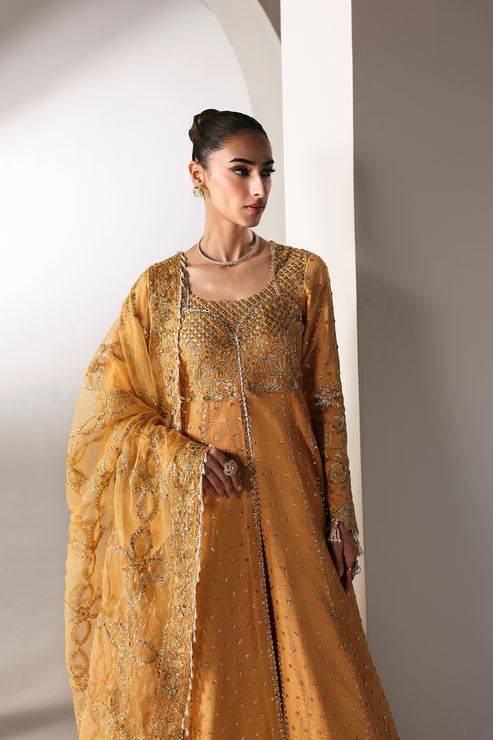 Emaan Adeel | Serein Luxe Silk | GOLDEN HOUR - House Of Hania