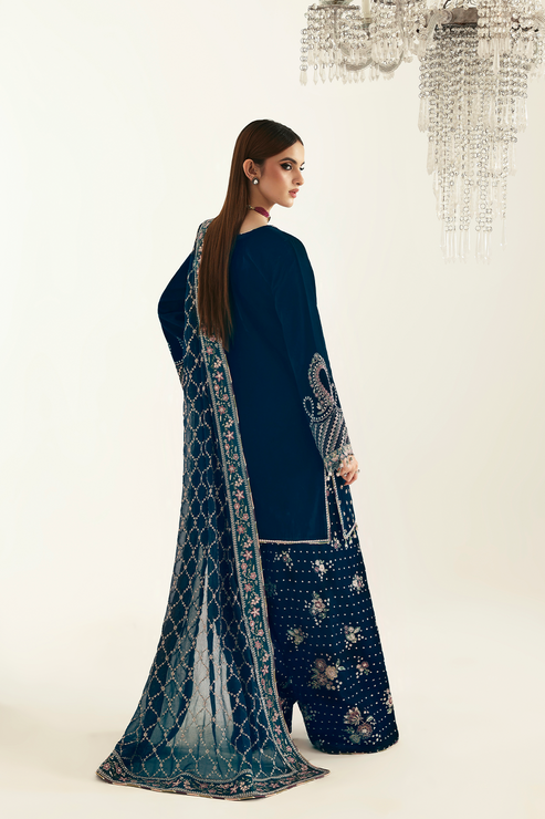 Emaan Adeel | Zarposh Velvet 25 | JAHANARA - House Of Hania