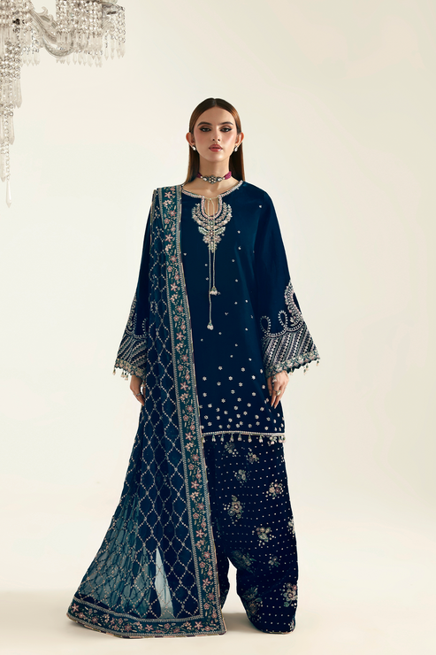 Emaan Adeel | Zarposh Velvet 25 | JAHANARA - House Of Hania
