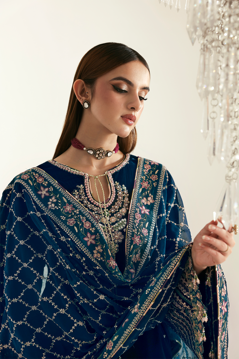 Emaan Adeel | Zarposh Velvet 25 | JAHANARA - House Of Hania