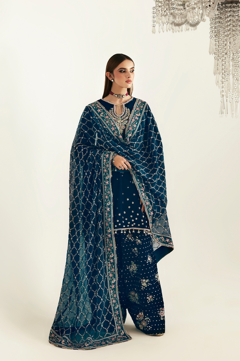 Emaan Adeel | Zarposh Velvet 25 | JAHANARA - House Of Hania
