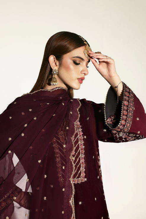 Emaan Adeel | Zarposh Velvet 25 | KANWAL - House Of Hania