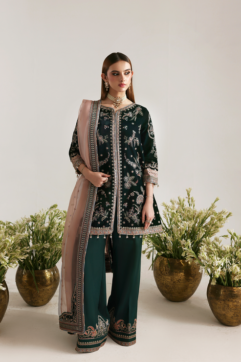 Emaan Adeel | Zarposh Velvet 25 | MEHRUUNISA - House Of Hania