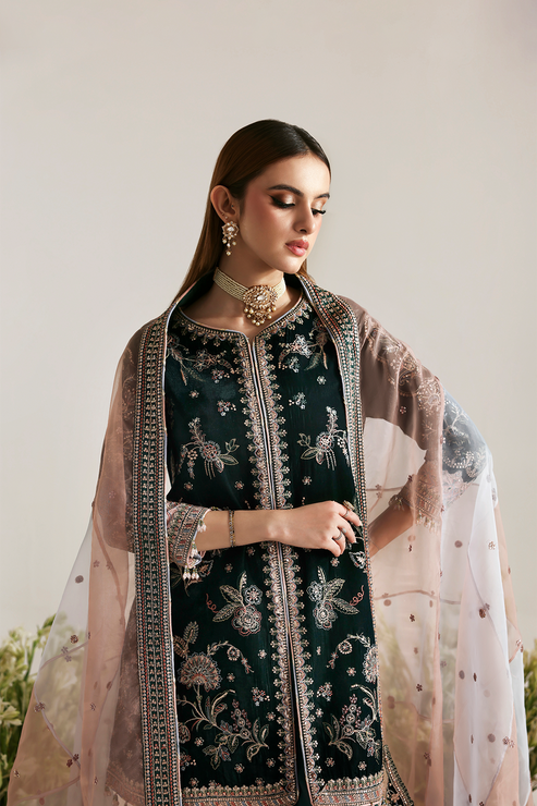 Emaan Adeel | Zarposh Velvet 25 | MEHRUUNISA - House Of Hania