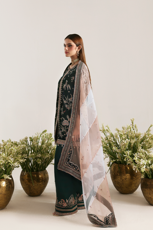 Emaan Adeel | Zarposh Velvet 25 | MEHRUUNISA - House Of Hania