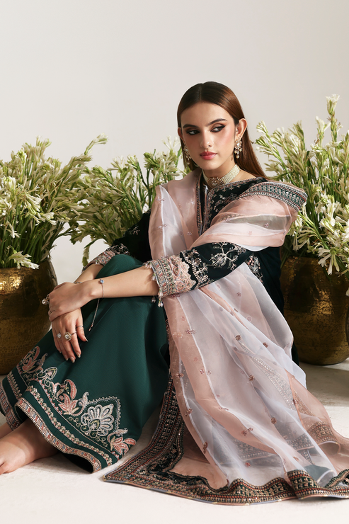 Emaan Adeel | Zarposh Velvet 25 | MEHRUUNISA - House Of Hania