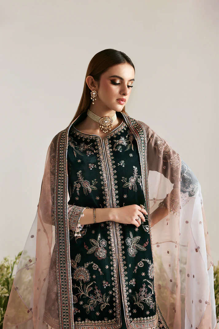 Emaan Adeel | Zarposh Velvet Collection | MEHRUUNISA - House Of Hania