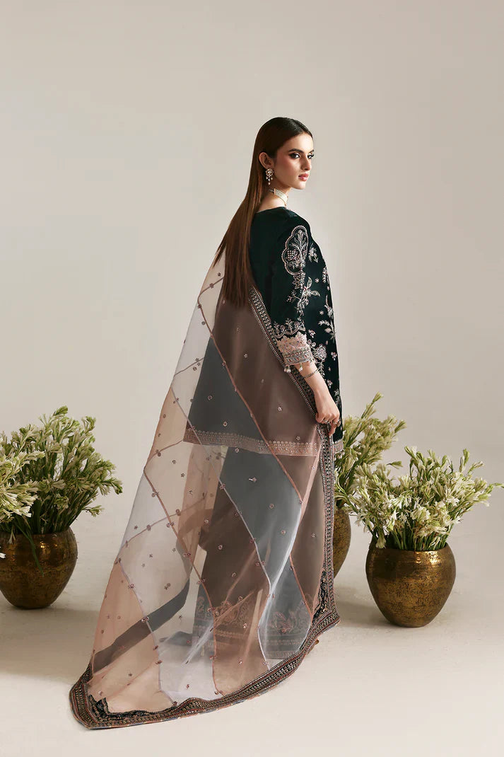 Emaan Adeel | Zarposh Velvet Collection | MEHRUUNISA - House Of Hania