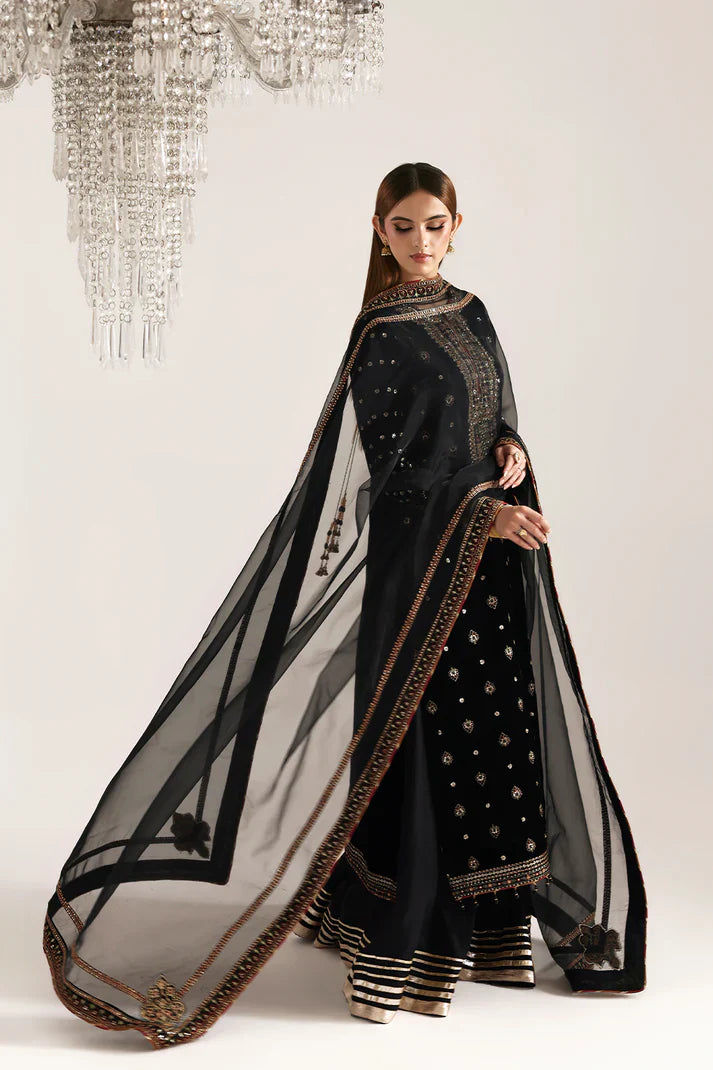 Emaan Adeel | Zarposh Velvet Collection | RAZIA - House Of Hania