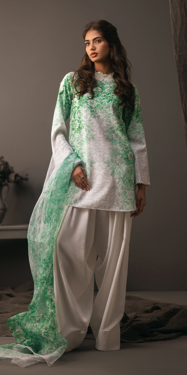 Erum Khan | Beyond Basic | VIVID ELEGANCE - House Of Hania