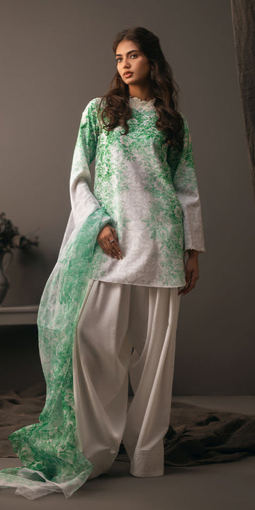 Erum Khan | Beyond Basic | VIVID ELEGANCE - House Of Hania