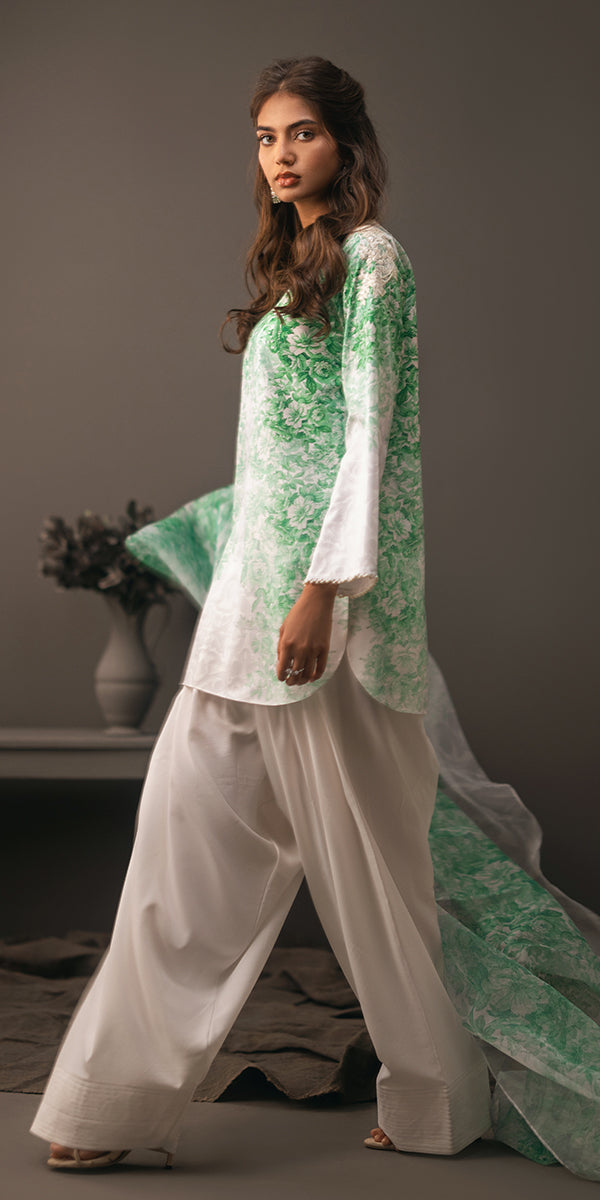 Erum Khan | Beyond Basic | VIVID ELEGANCE - House Of Hania