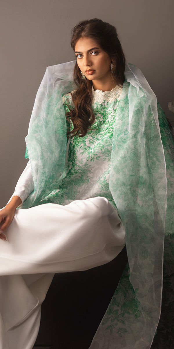 Erum Khan | Beyond Basic | VIVID ELEGANCE - House Of Hania