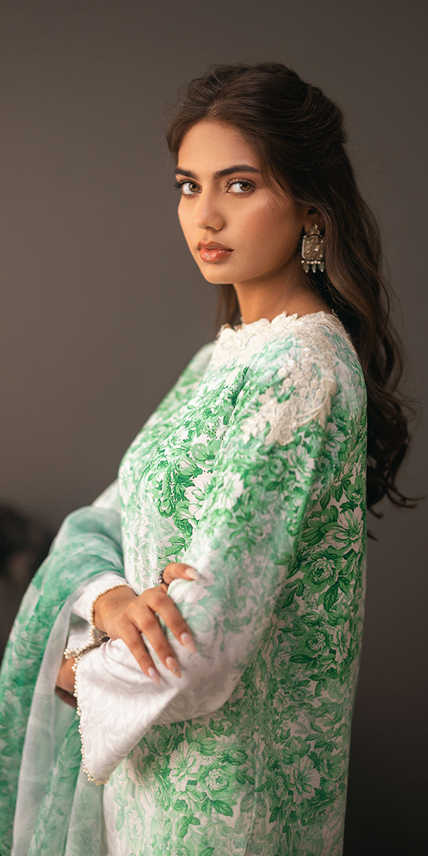 Erum Khan | Beyond Basic | VIVID ELEGANCE - House Of Hania