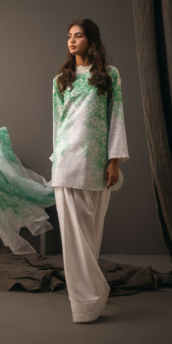 Erum Khan | Beyond Basic | VIVID ELEGANCE - House Of Hania