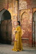 Erum Khan | Mannat Formals | Aatish - House Of Hania