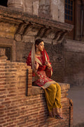 Erum Khan | Shezadian Luxe Formals | CHAND BAI - House Of Hania