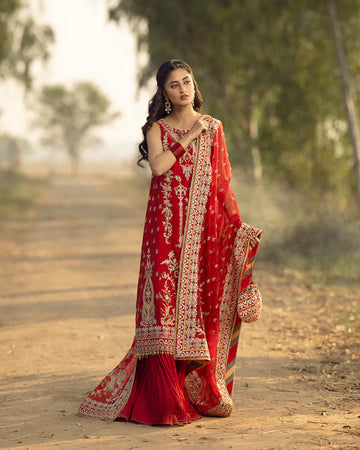 Faiza Saqlain | FS Luxe Vasl e yaar | Ayika - House Of Hania