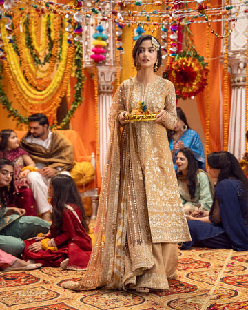 Faiza Saqlain | FS Luxe Vasl e yaar | Mahrosh - House Of Hania