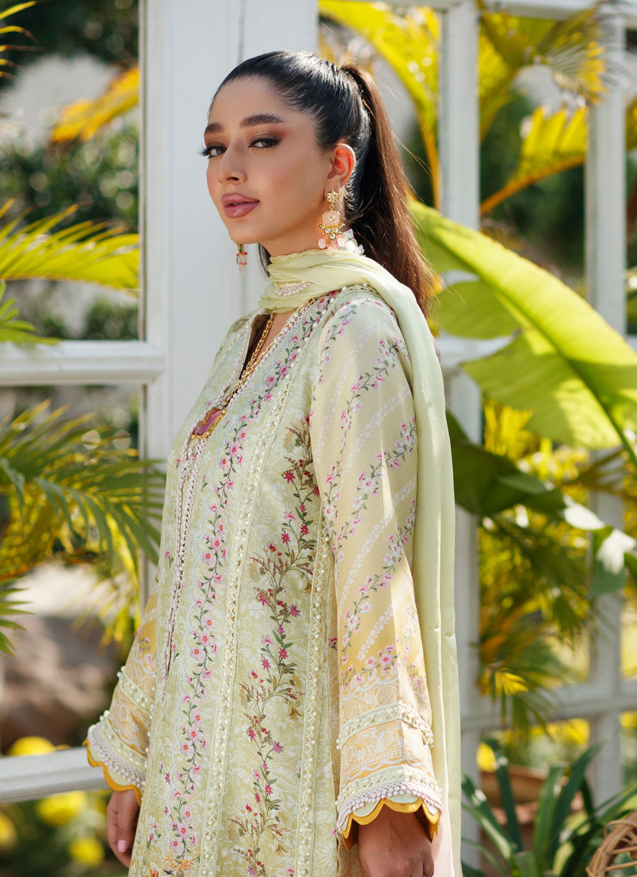 Farah Talib Aziz | Designer Picks 24 | JOLIE SHIRT AND DUPATTA - House Of Hania