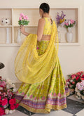 Farah Talib Aziz | Mayna Festive Luxe | ELIKA LIME - House Of Hania