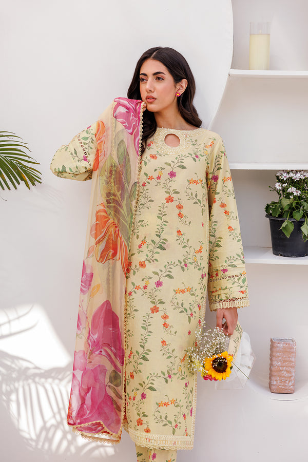 Farasha | Printed Essentials | PASTEL GLEAM - House Of Hania