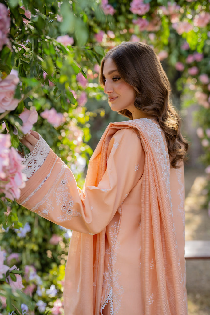 Florent | Chikankari Eid 25 | FLC-1B - House Of Hania