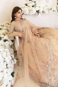 Gold Orchid - House Of Hania